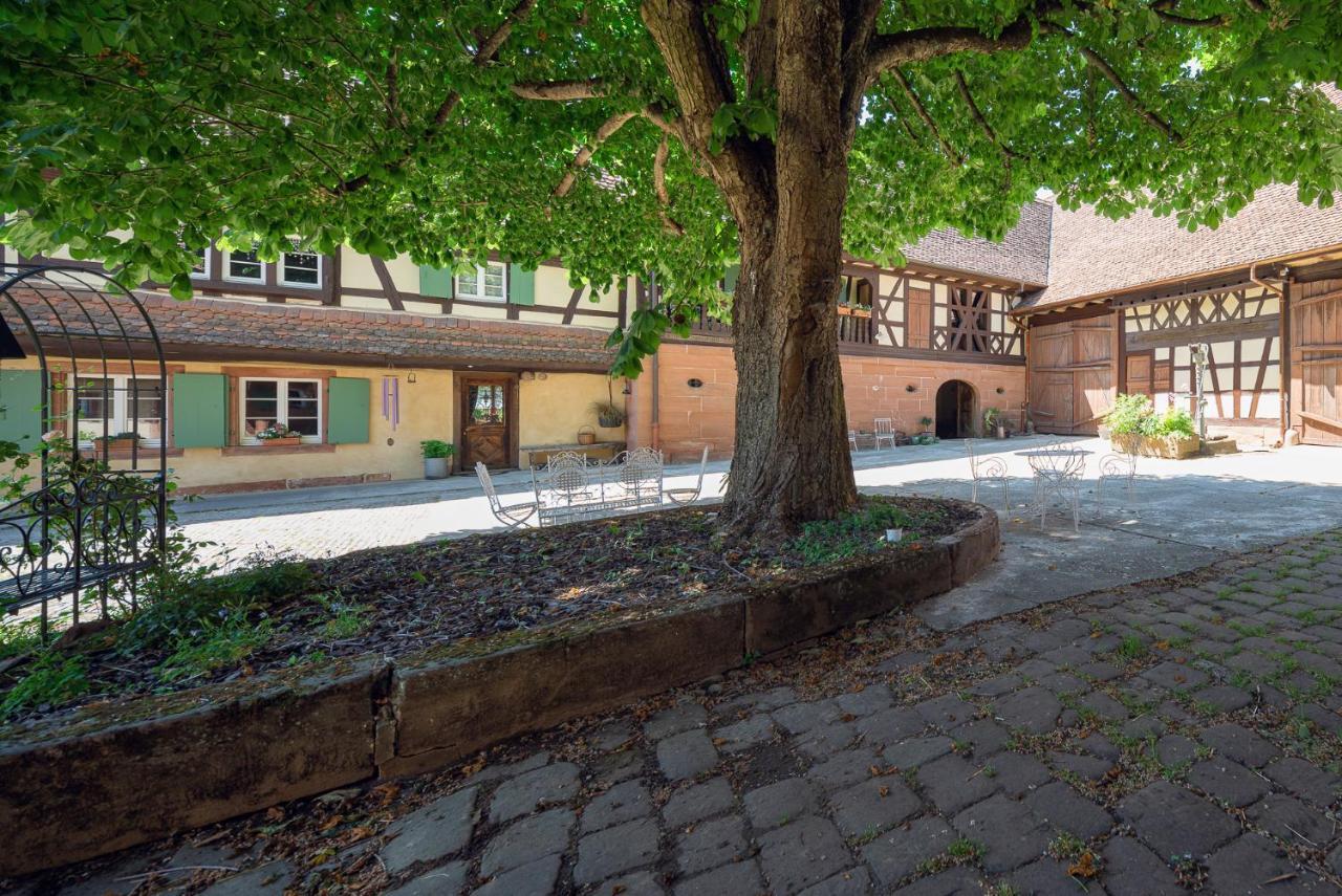 Bed and Breakfast Au Fil Du Temps Imbsheim Экстерьер фото
