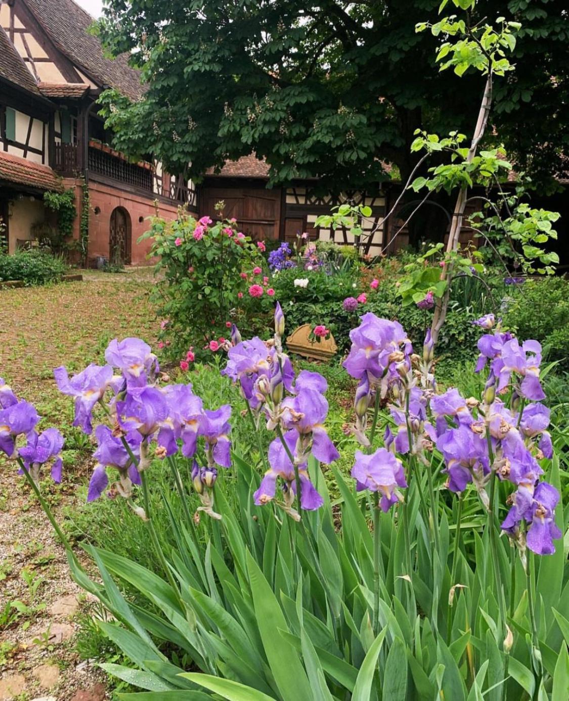 Bed and Breakfast Au Fil Du Temps Imbsheim Экстерьер фото